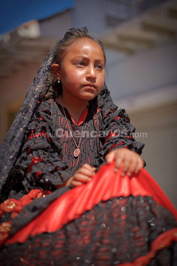 El Pase del Niño Viajero 2009