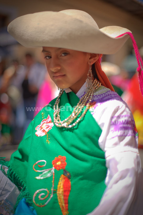 El Pase del Niño Viajero 2009