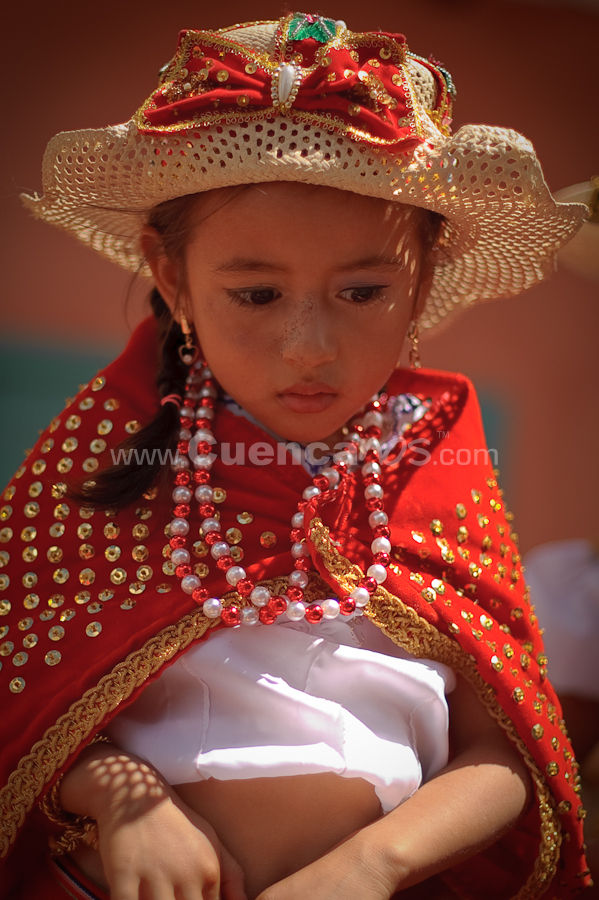 El Pase del Niño Viajero 2009