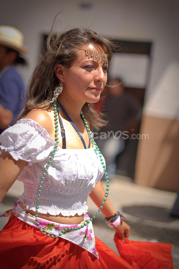 El Pase del Niño Viajero 2009