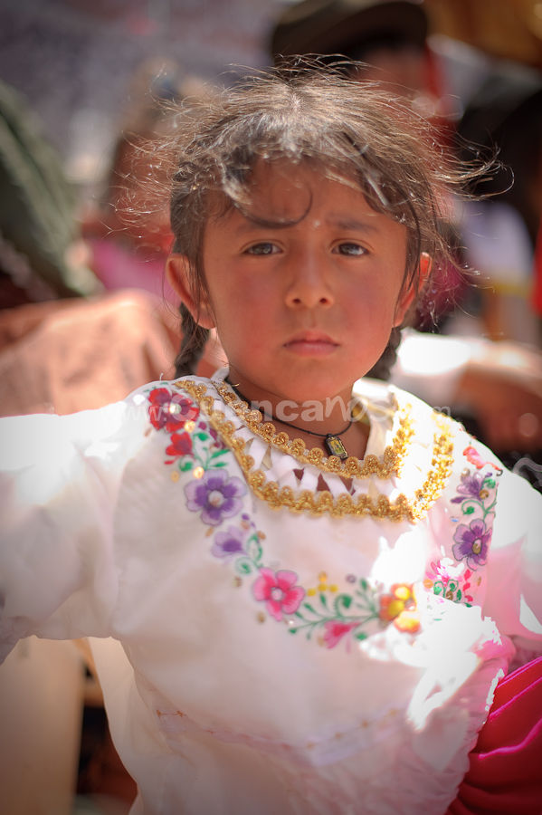 El Pase del Niño Viajero 2009