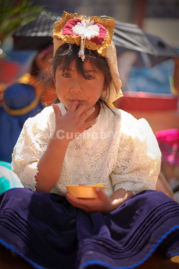 El Pase del Niño Viajero 2009