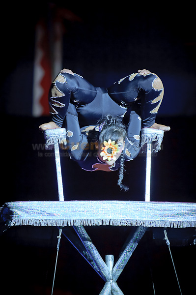 El Circo de la Chilindrina