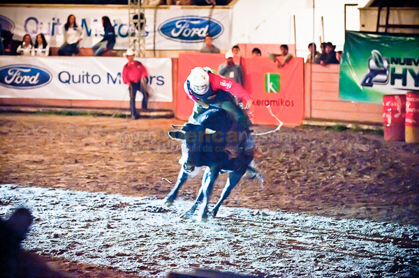 Rodeo 2010
