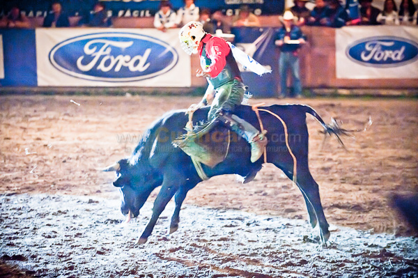 Rodeo 2010