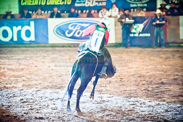 Rodeo 2010