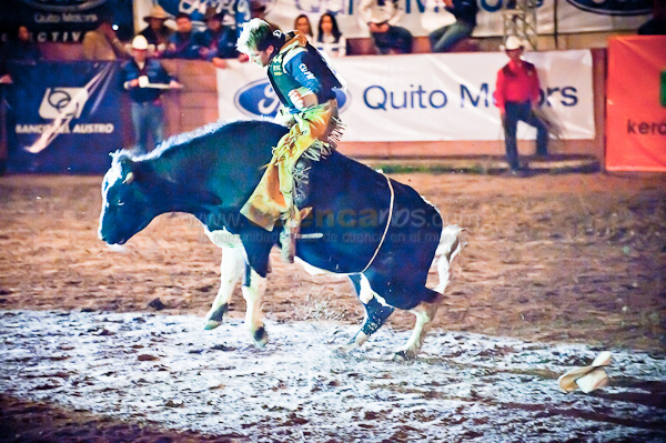 Rodeo 2010