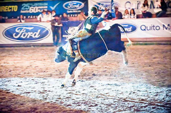Rodeo 2010