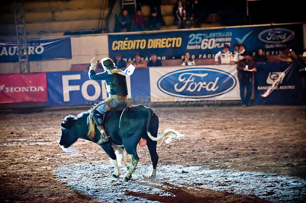 Rodeo 2010