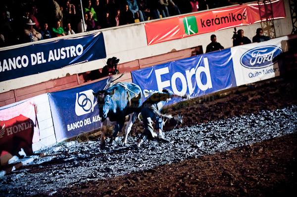 Rodeo 2010