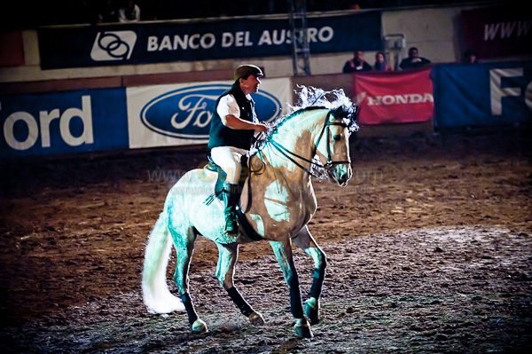 Rodeo 2010