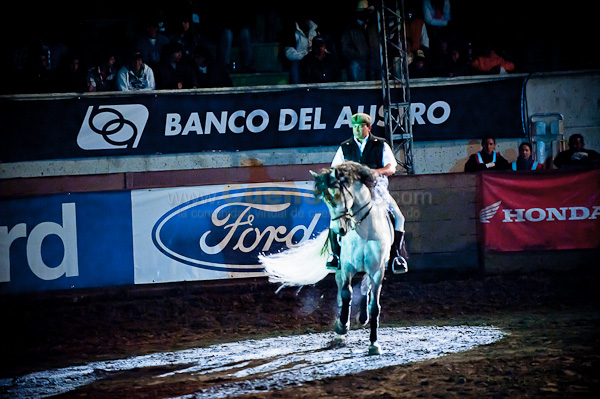 Rodeo 2010
