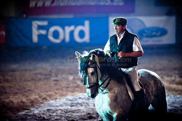Rodeo 2010