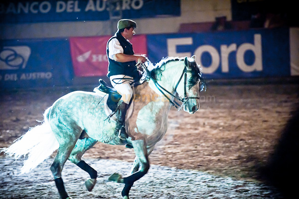 Rodeo 2010