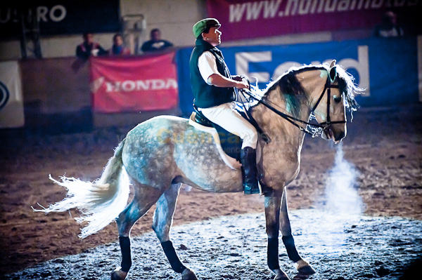 Rodeo 2010
