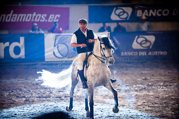 Rodeo 2010