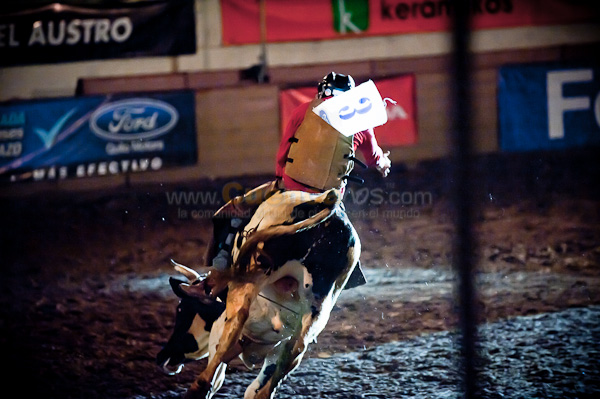 Rodeo 2010
