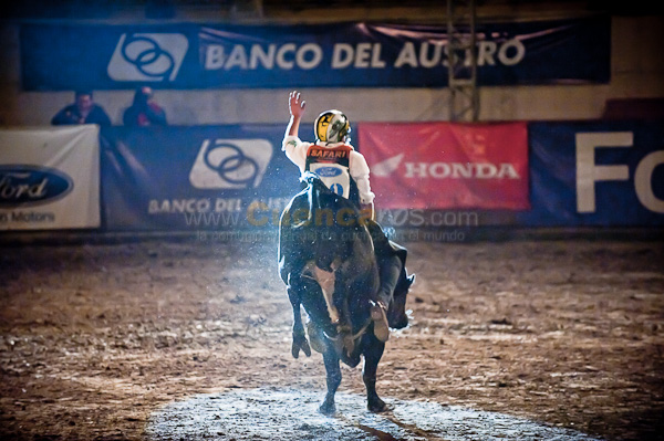 Rodeo 2010