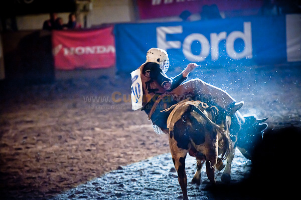 Rodeo 2010