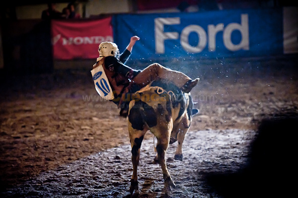 Rodeo 2010