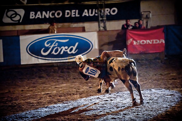 Rodeo 2010