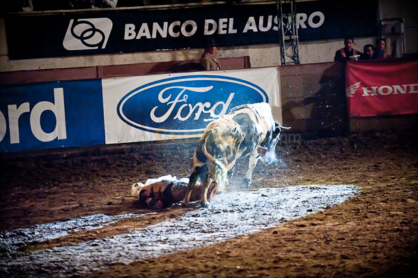 Rodeo 2010