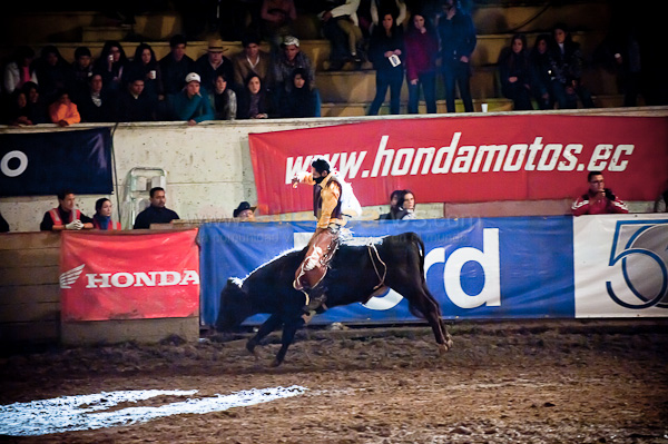 Rodeo 2010