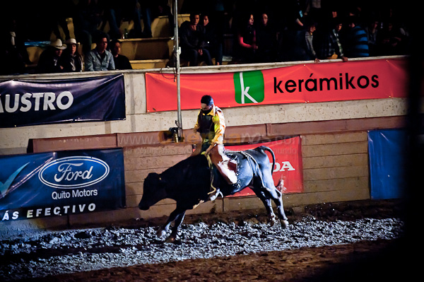 Rodeo 2010