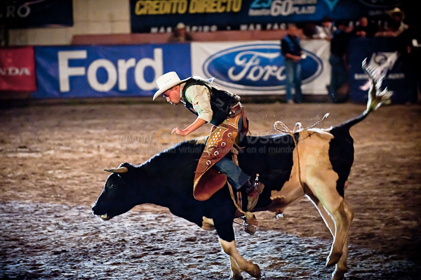 Rodeo 2010