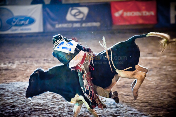 Rodeo 2010