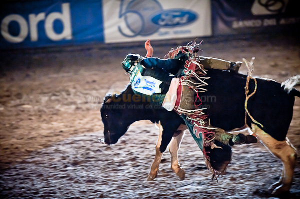 Rodeo 2010