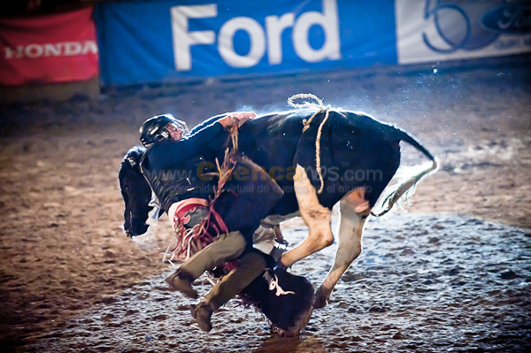Rodeo 2010