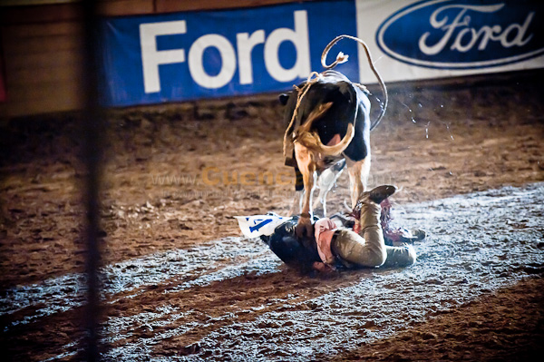 Rodeo 2010