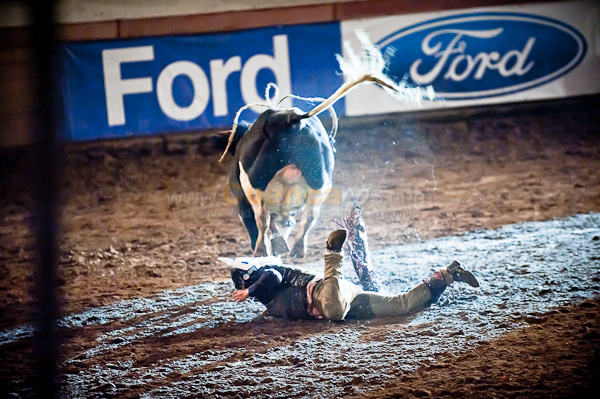 Rodeo 2010