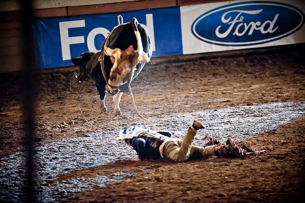 Rodeo 2010