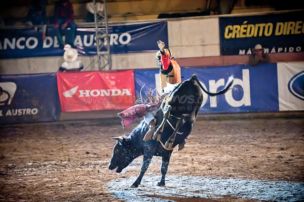 Rodeo 2010