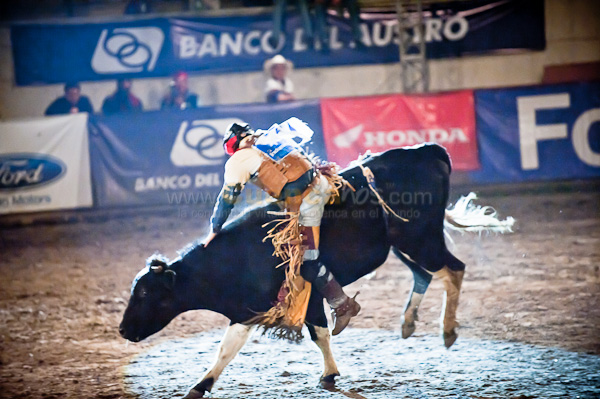 Rodeo 2010