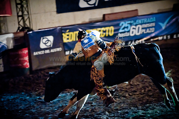 Rodeo 2010
