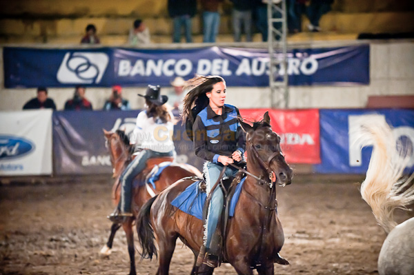 Rodeo 2010
