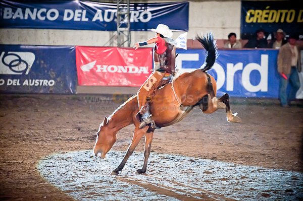 Rodeo 2010