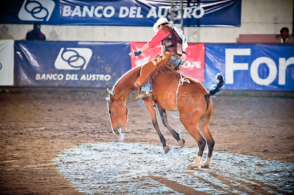 Rodeo 2010