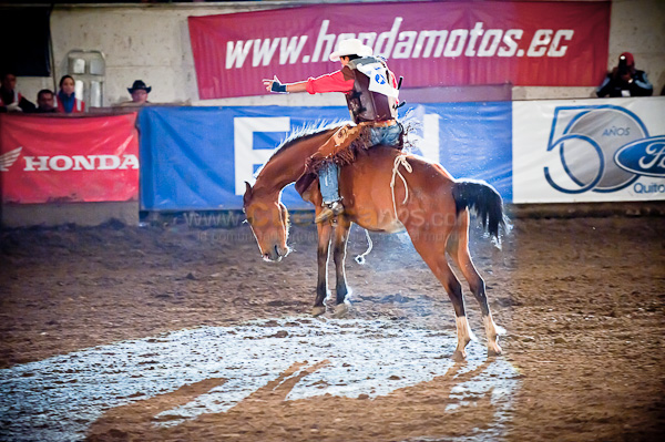 Rodeo 2010
