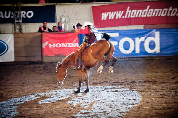 Rodeo 2010