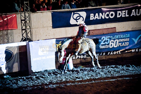 Rodeo 2010