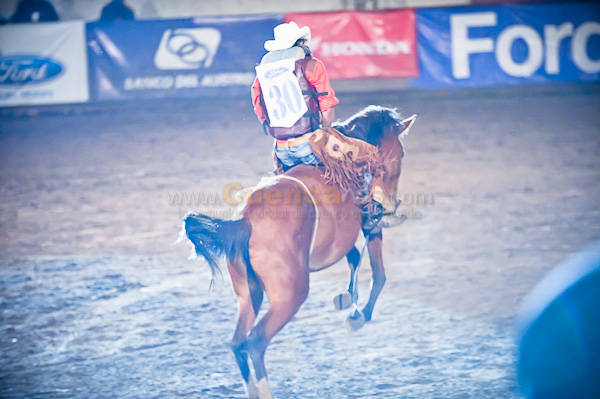 Rodeo 2010