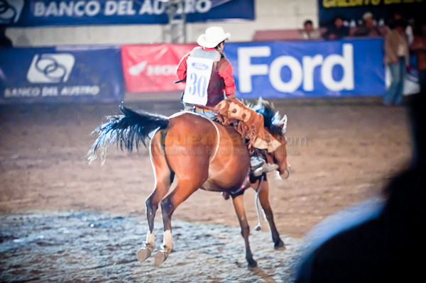 Rodeo 2010