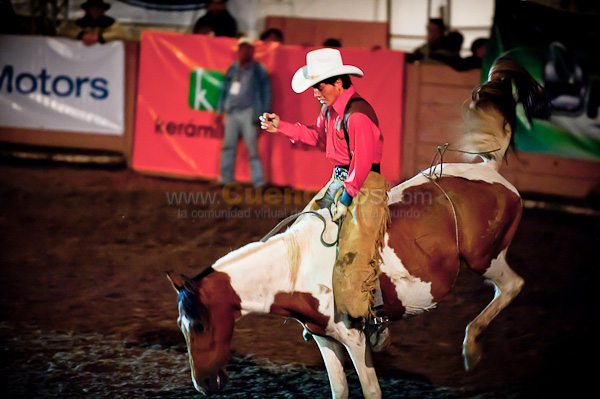 Rodeo 2010