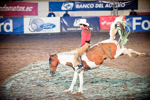 Rodeo 2010