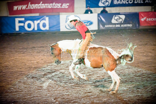 Rodeo 2010