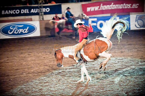 Rodeo 2010